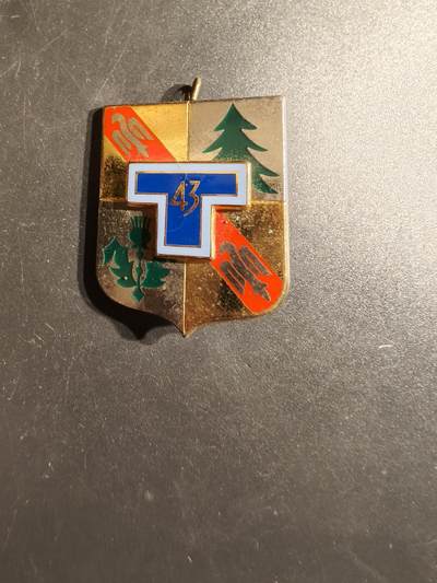 老王徽章第163期 13-15日三场连拍 16日统一发货  13、14日结束后可寄存 - 法国第43通信团证章 