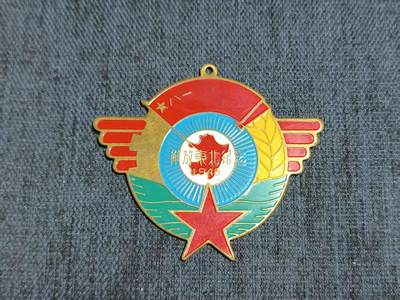 罗岚⭐爱藏⭐精品专拍第七场-分享拍场赚佣（周六有群拍，详细看简介） - 解放东北胜利纪念章 疑后上漆