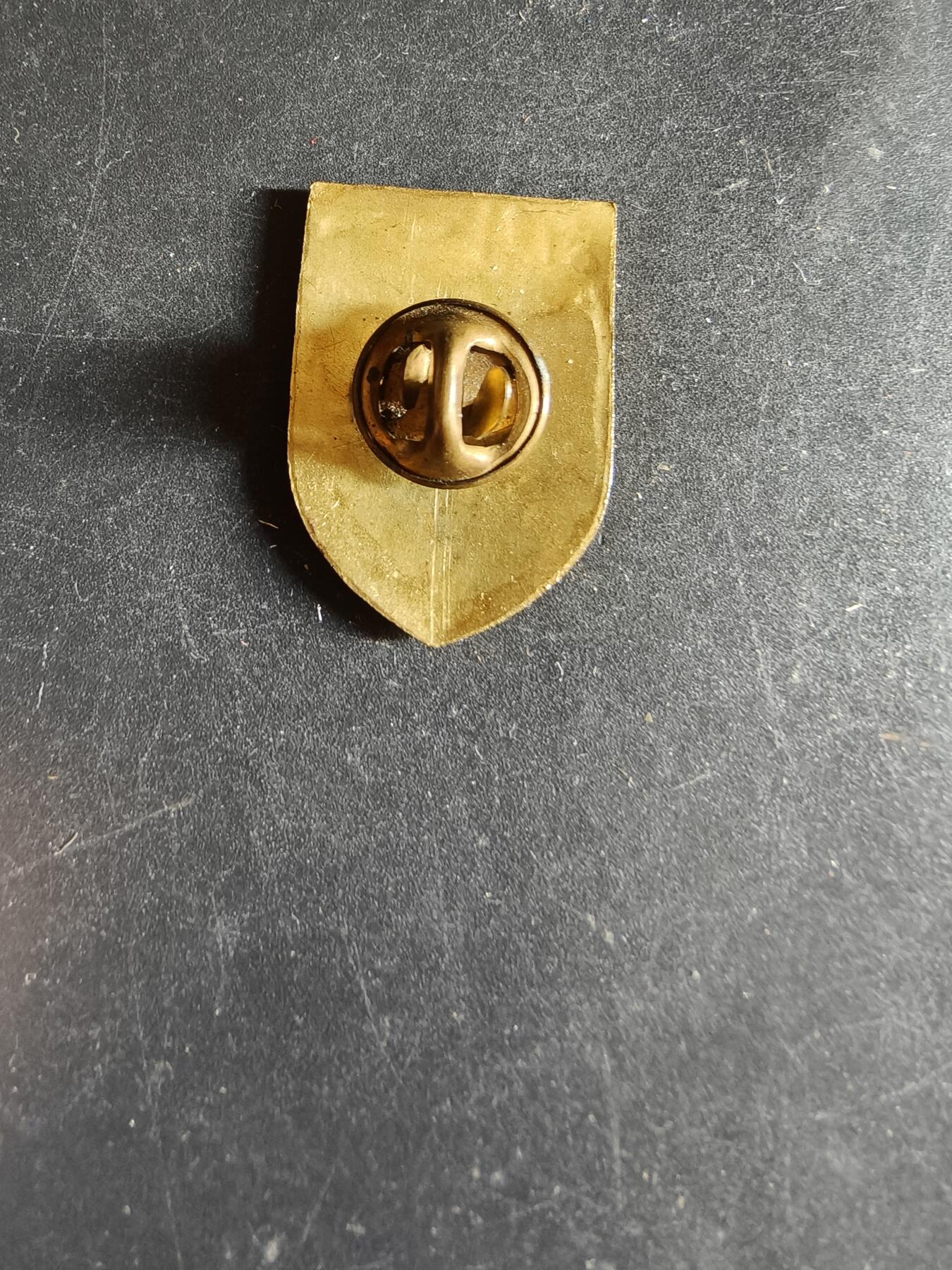 老王徽章第163期 13-15日三场连拍 16日统一发货  13、14日结束后可寄存