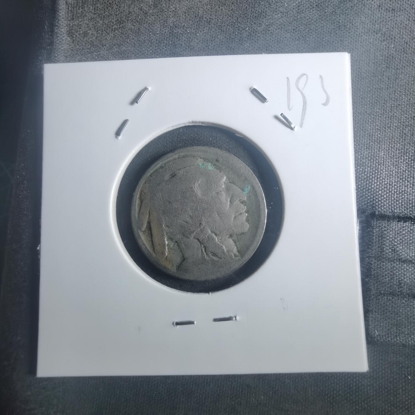 沼泽如烟--第900场 美国野牛五分