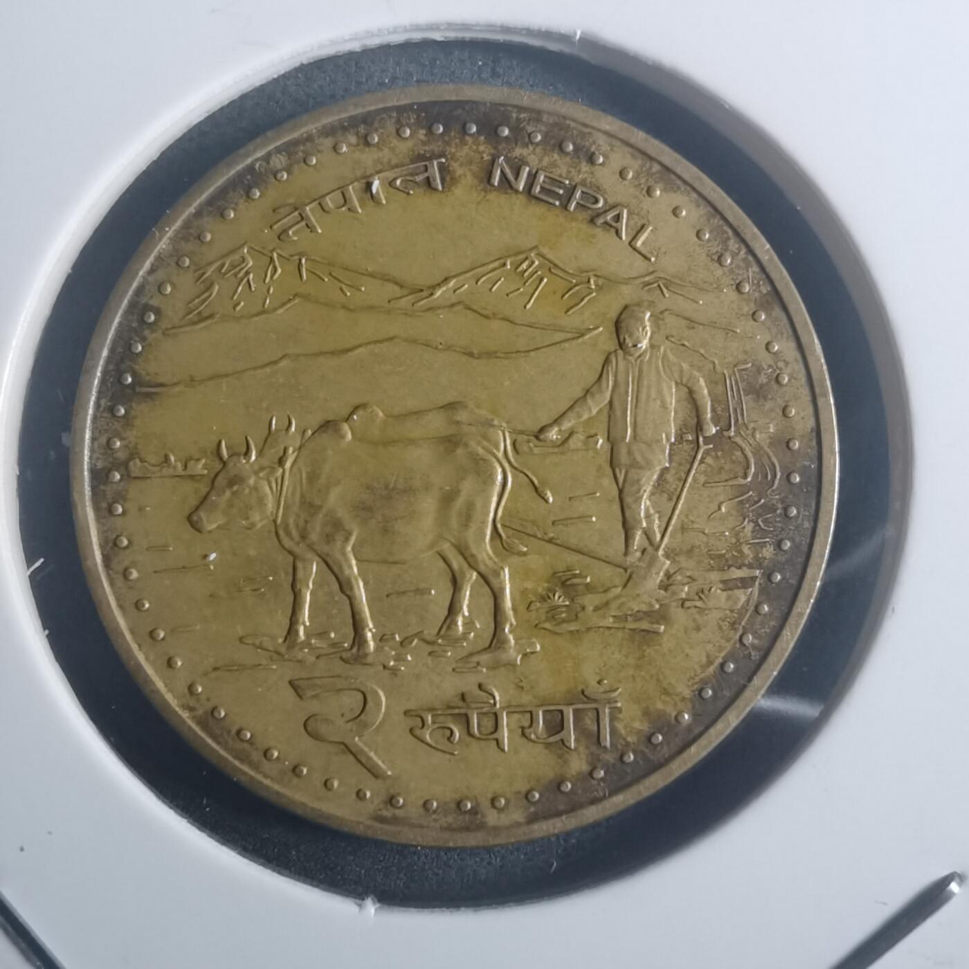 沼泽如烟--第900场 尼泊尔