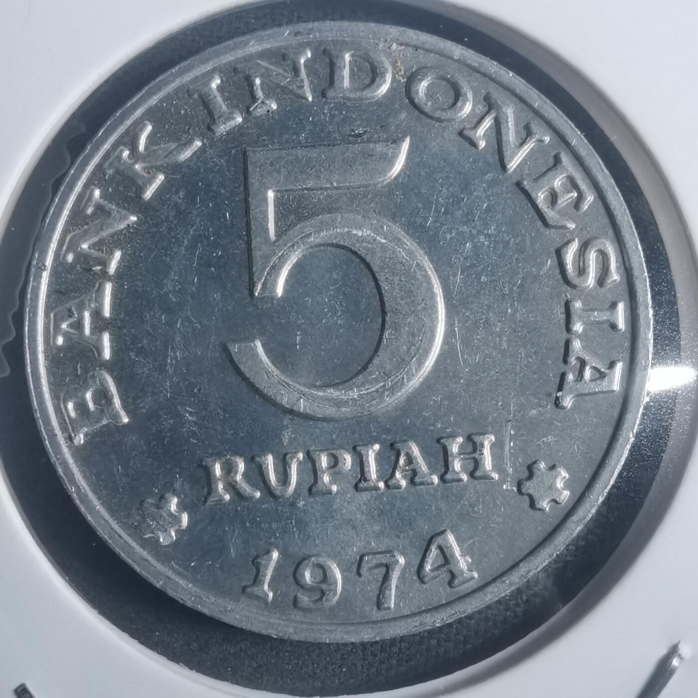 沼泽如烟--第900场