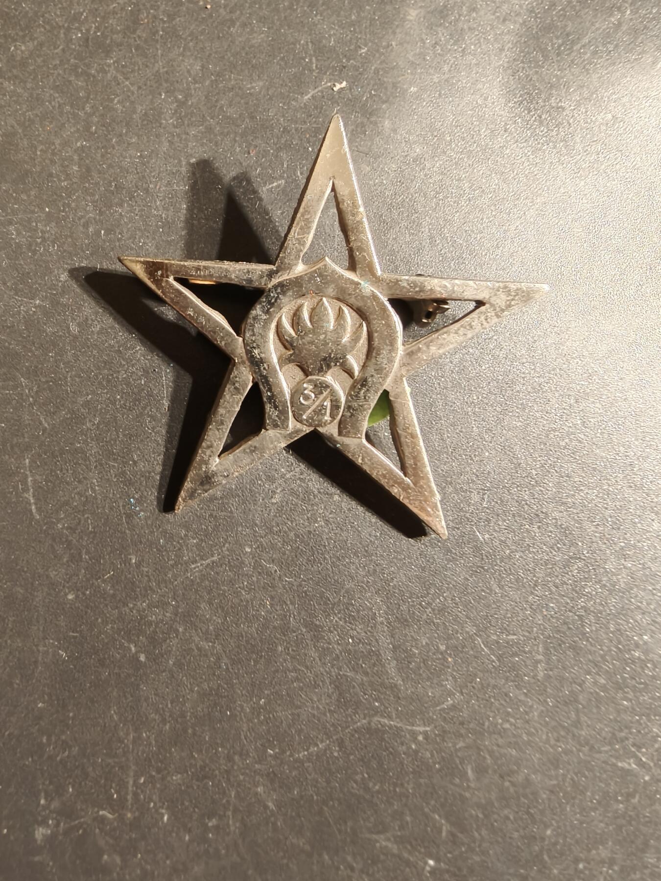 老王徽章第163期 13-15日三场连拍 16日统一发货  13、14日结束后可寄存  法国外籍军团3团1,营证章