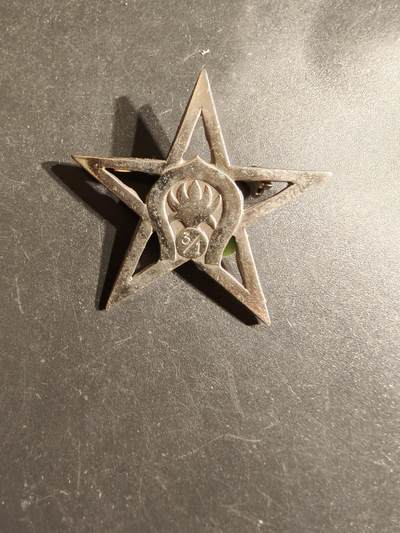 老王徽章第163期 13-15日三场连拍 16日统一发货  13、14日结束后可寄存 -  法国外籍军团3团1,营证章