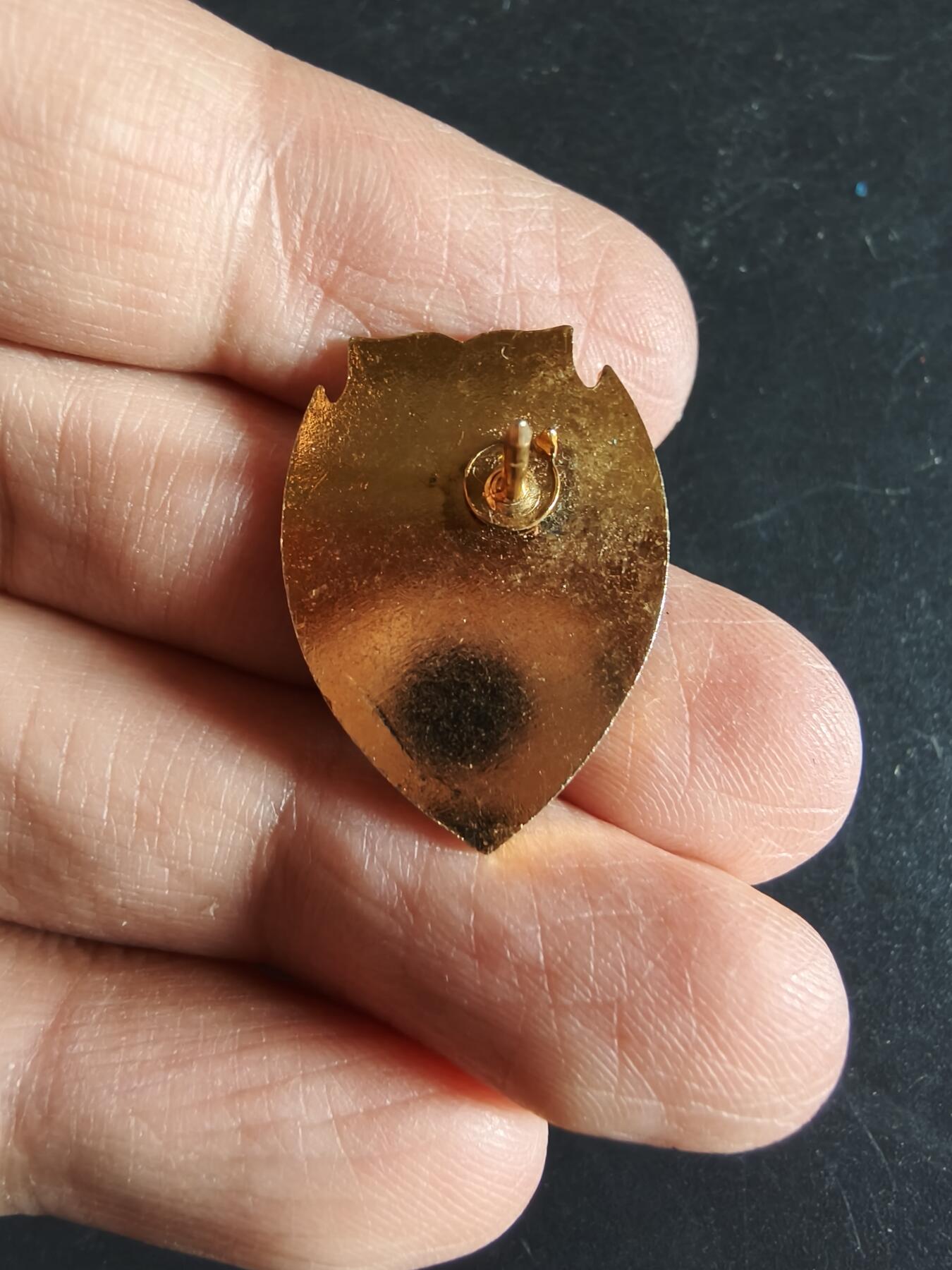 老王徽章第163期 13-15日三场连拍 16日统一发货  13、14日结束后可寄存