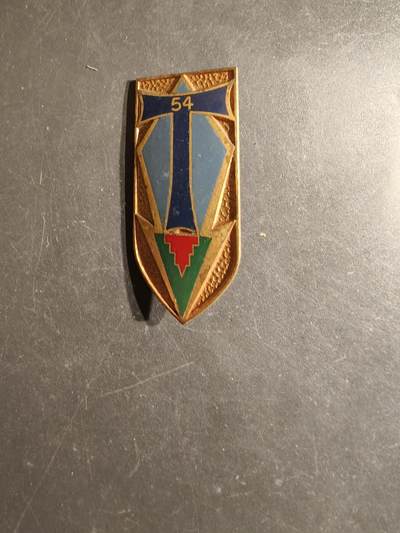 老王徽章第163期 13-15日三场连拍 16日统一发货  13、14日结束后可寄存 - 法国第54通信团证章 