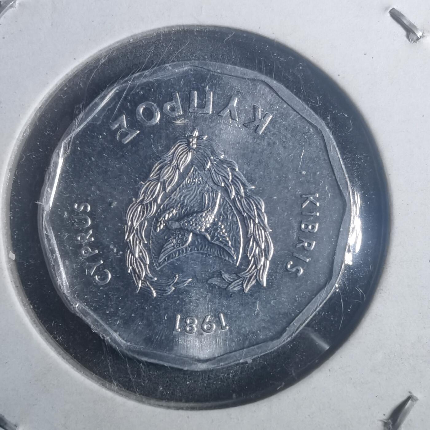 沼泽如烟--第900场