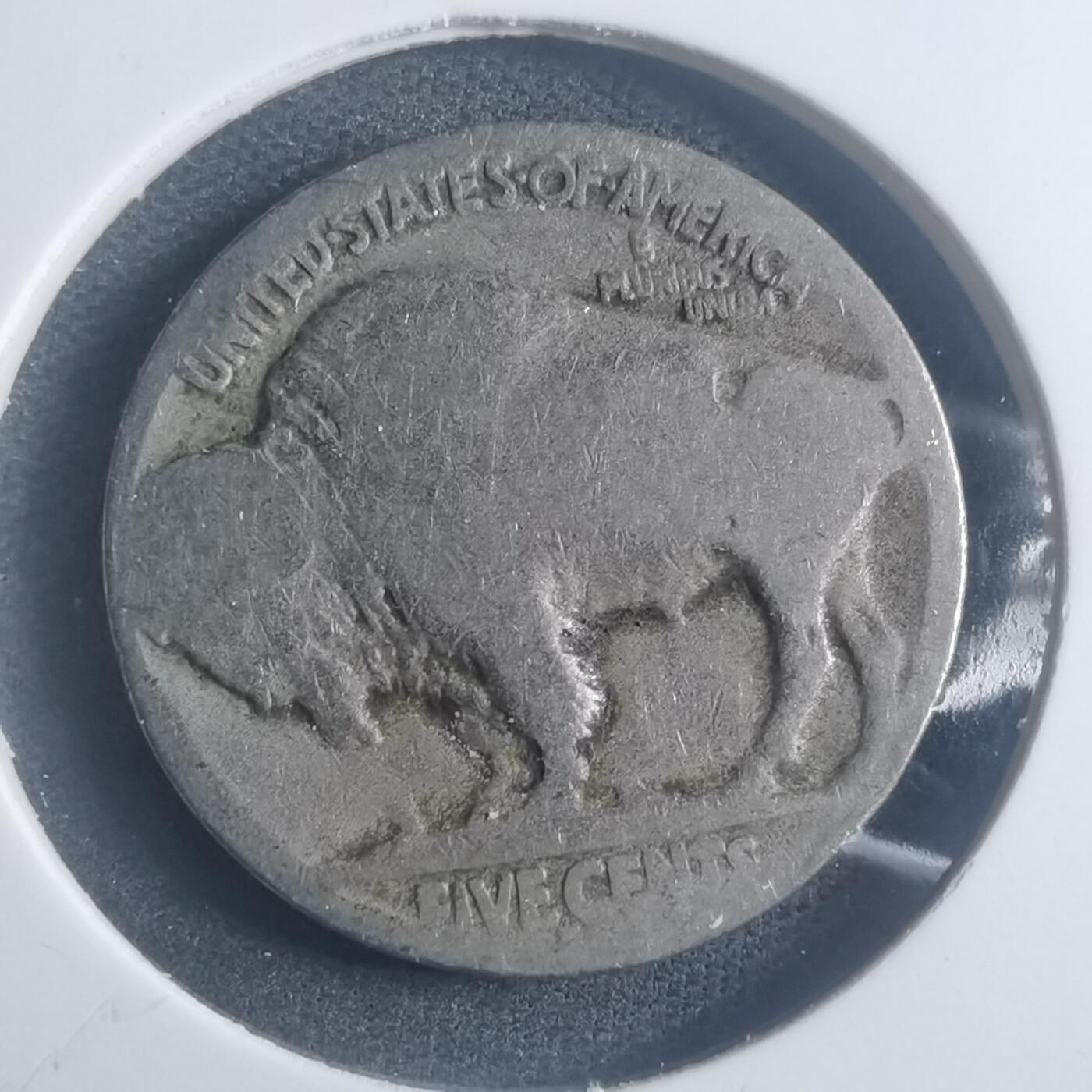 沼泽如烟--第903场 美国野牛五分