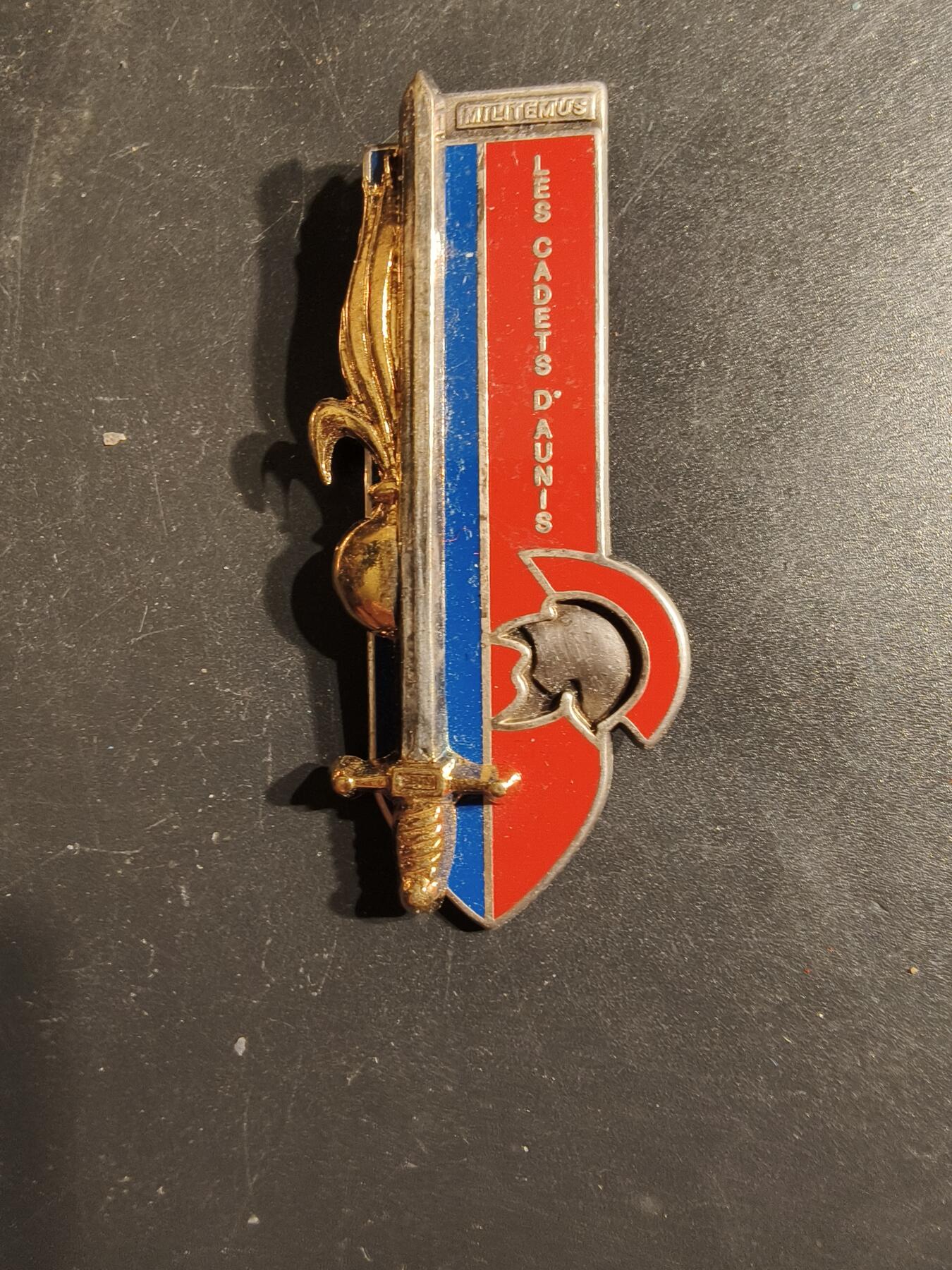 老王徽章第163期 13-15日三场连拍 16日统一发货  13、14日结束后可寄存  法国圣西尔军校预备役军官培训班学员晋升证章