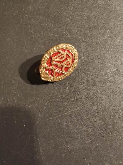 老王徽章第163期 13-15日三场连拍 16日统一发货  13、14日结束后可寄存 -  东德人民军射击证章