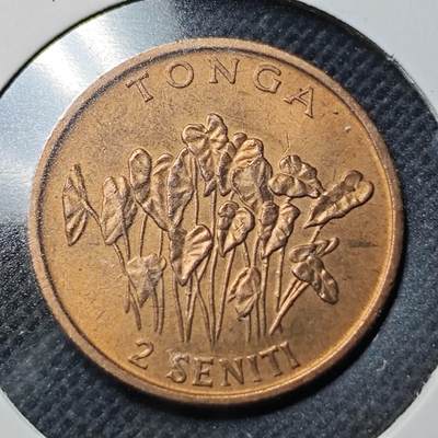 KK钱币收藏小铺  第370场  2月预留时间 周末发货 -  1981汤加2分铜币