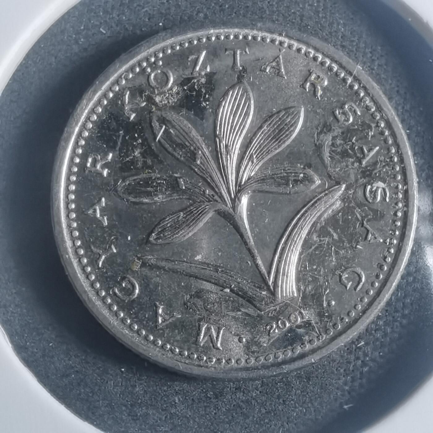 沼泽如烟--第900场