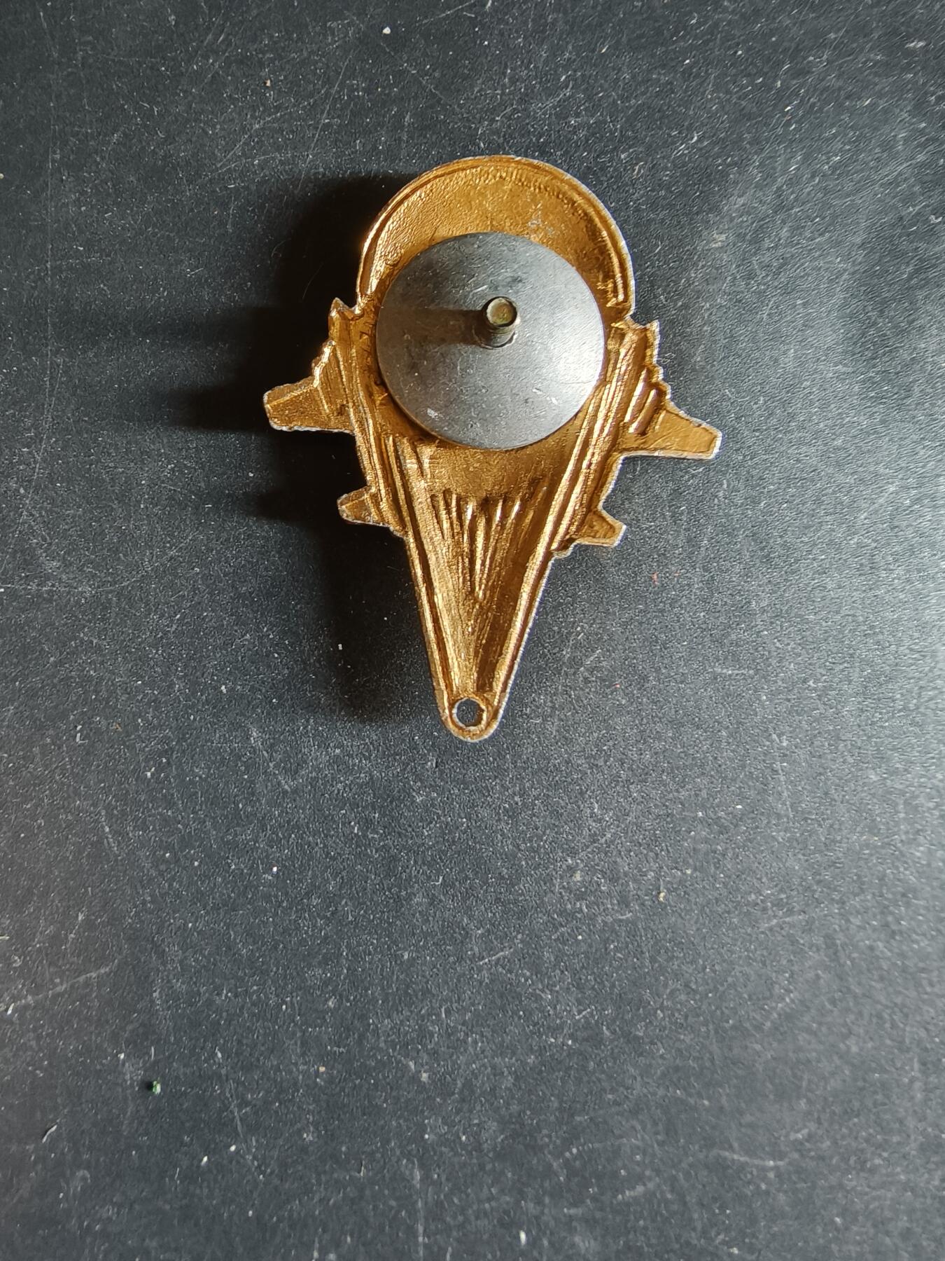 老王徽章第163期 13-15日三场连拍 16日统一发货  13、14日结束后可寄存 俄罗斯空降兵证章    