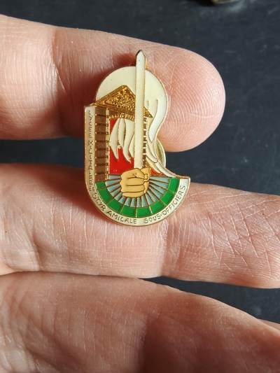 老王徽章第163期 13-15日三场连拍 16日统一发货  13、14日结束后可寄存 -  法国圣西尔军事高中士官校友会徽章