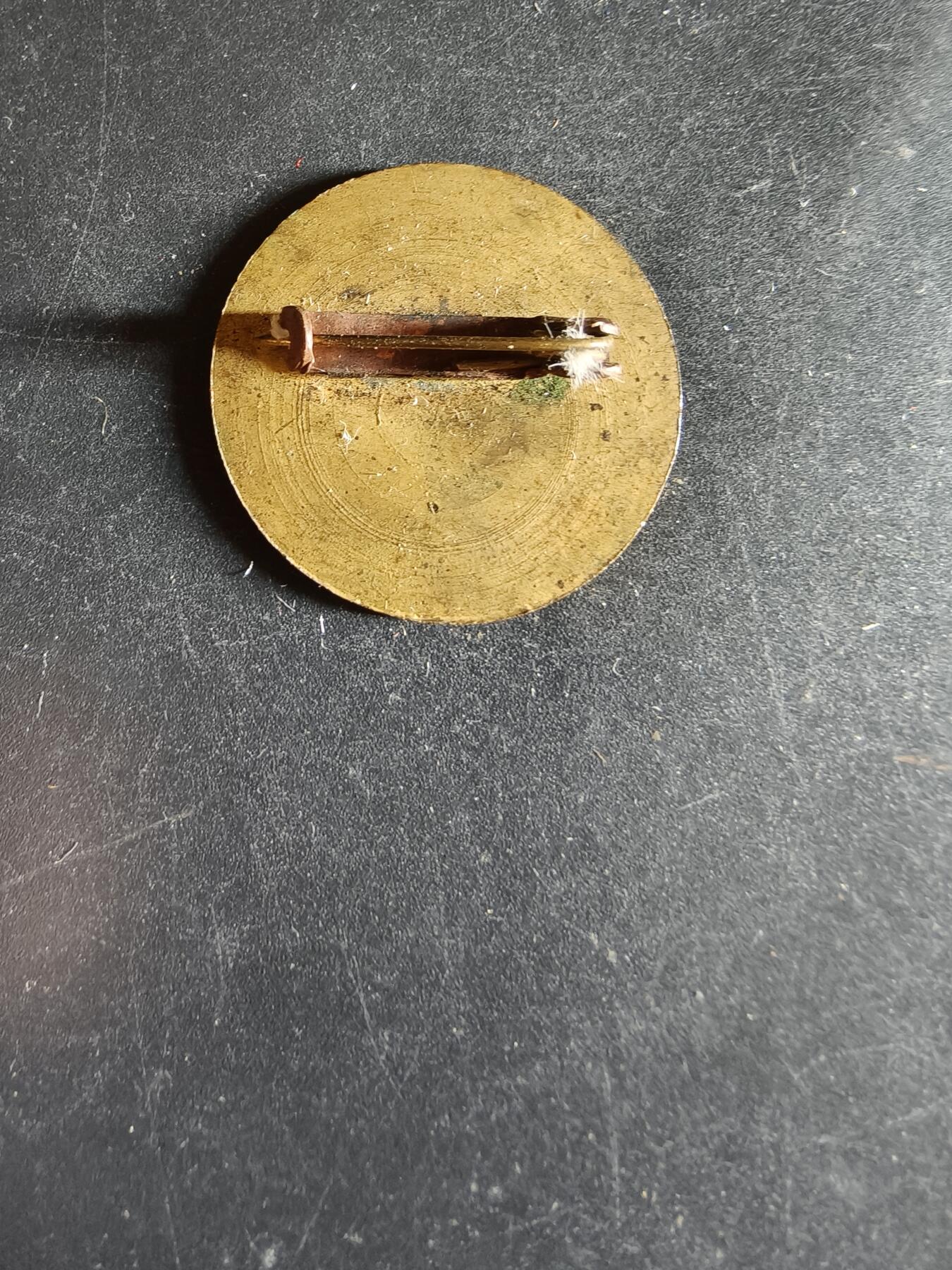 老王徽章第163期 13-15日三场连拍 16日统一发货  13、14日结束后可寄存  波兰比托姆大篷车俱乐部证章