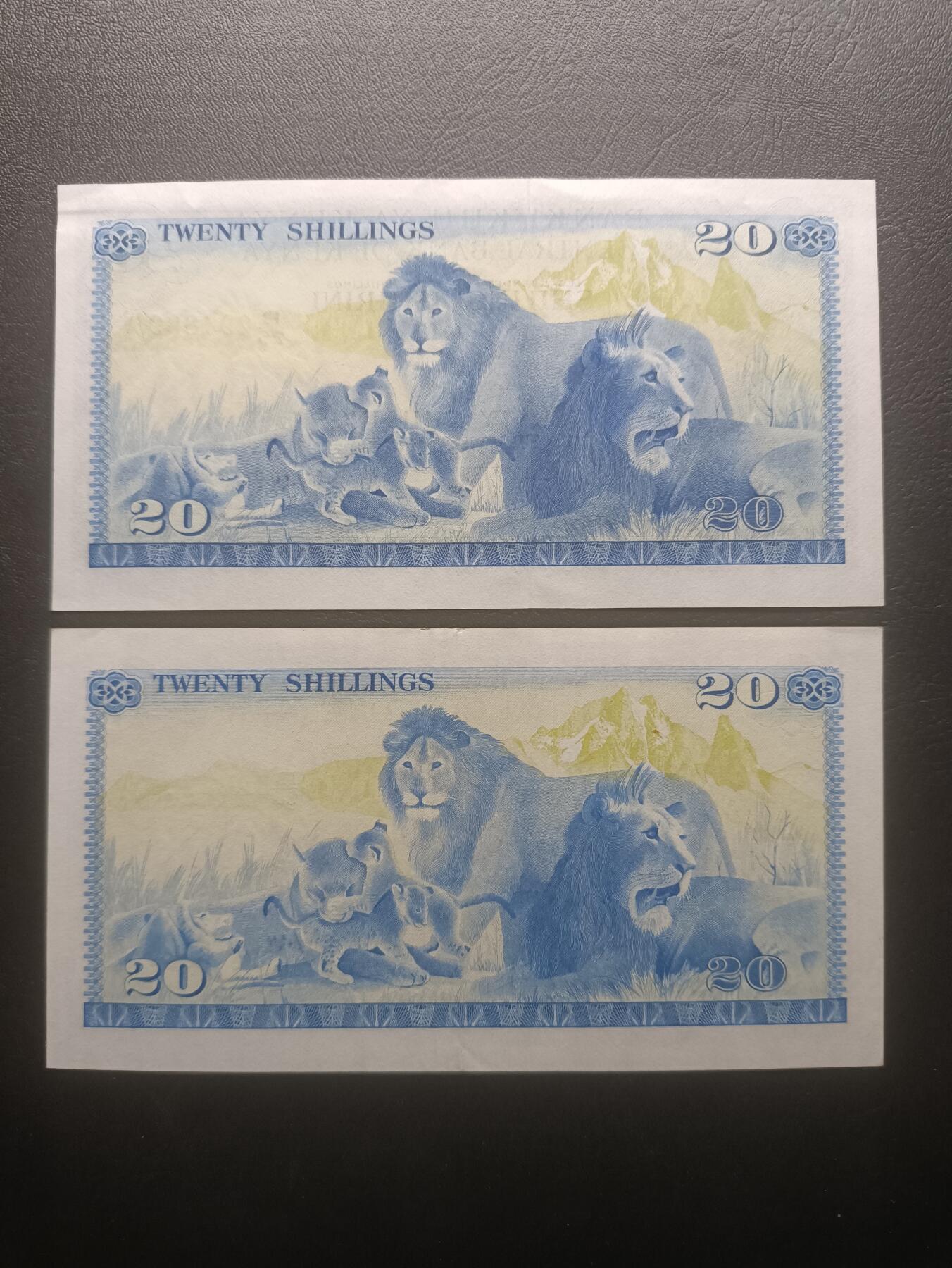 2025十一月第四期，总202期