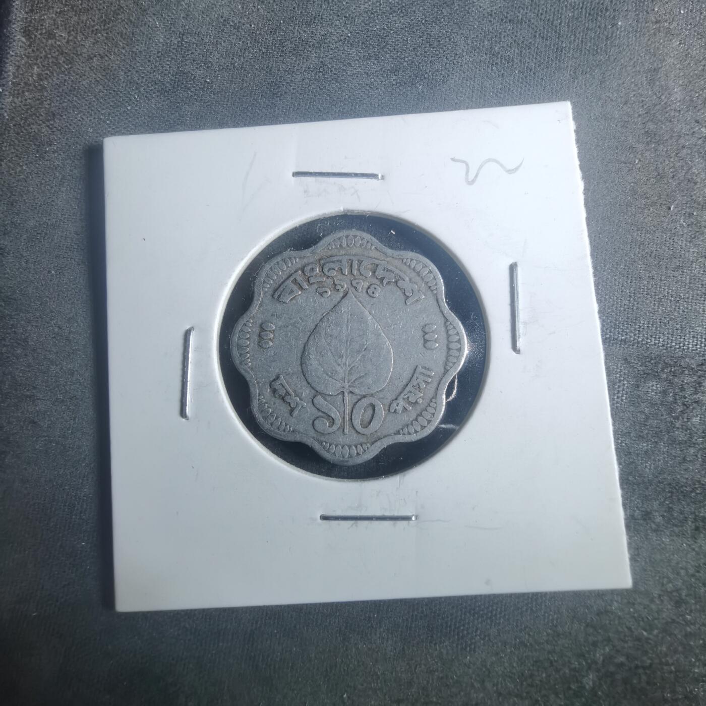 沼泽如烟--第900场 孟加拉树叶