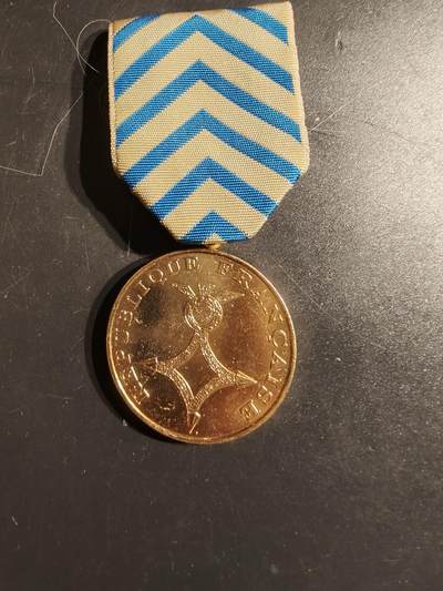 老王徽章第163期 13-15日三场连拍 16日统一发货  13、14日结束后可寄存 -  法国北非战役奖章