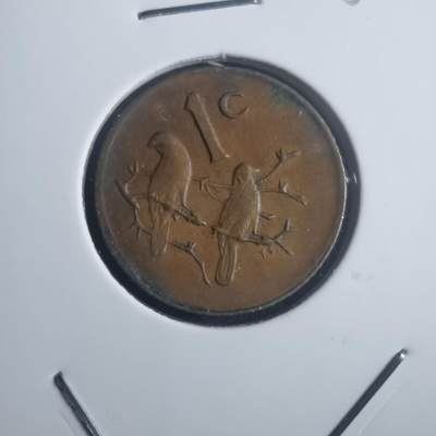 沼泽如烟--第903场 - 南非1981年一分