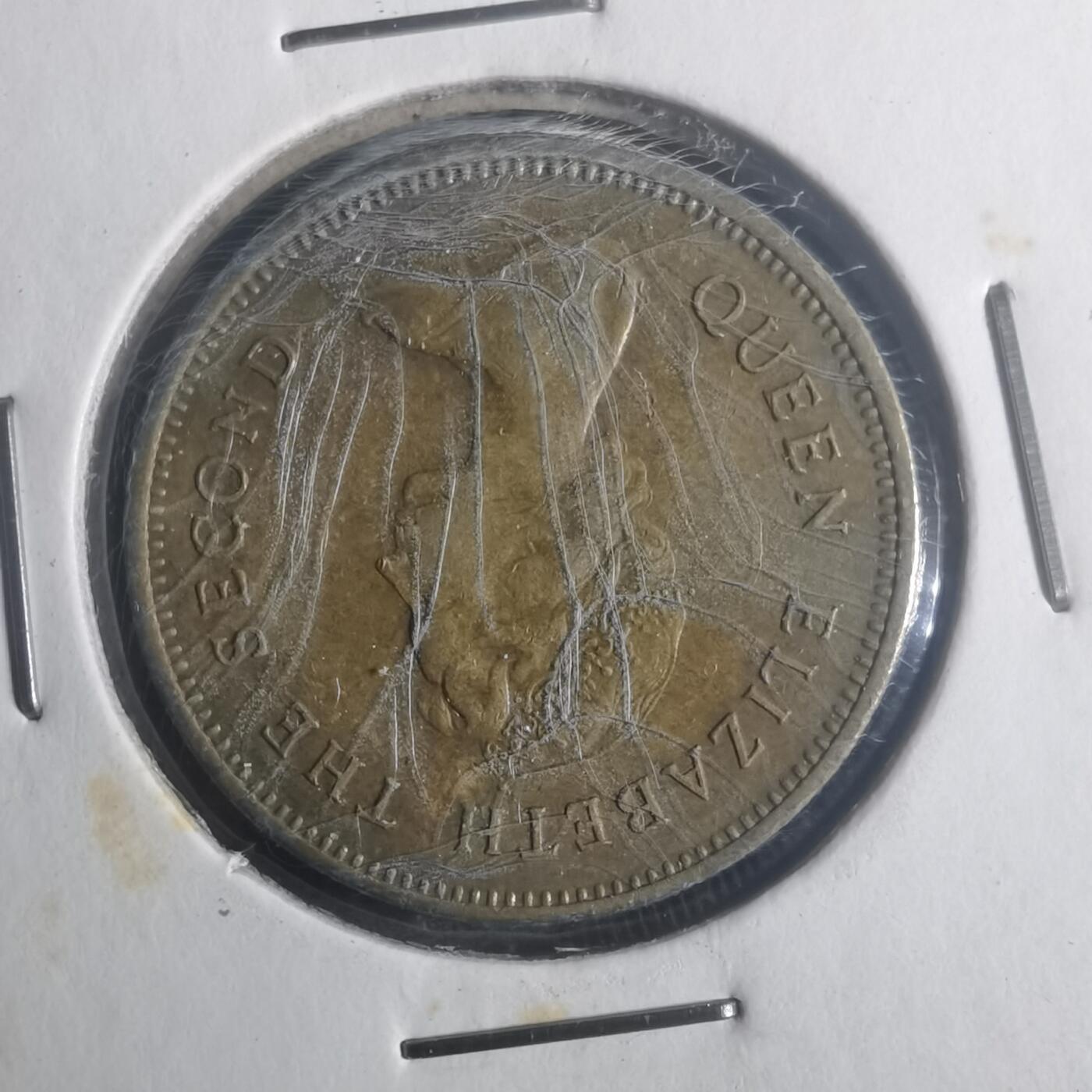 沼泽如烟--第900场