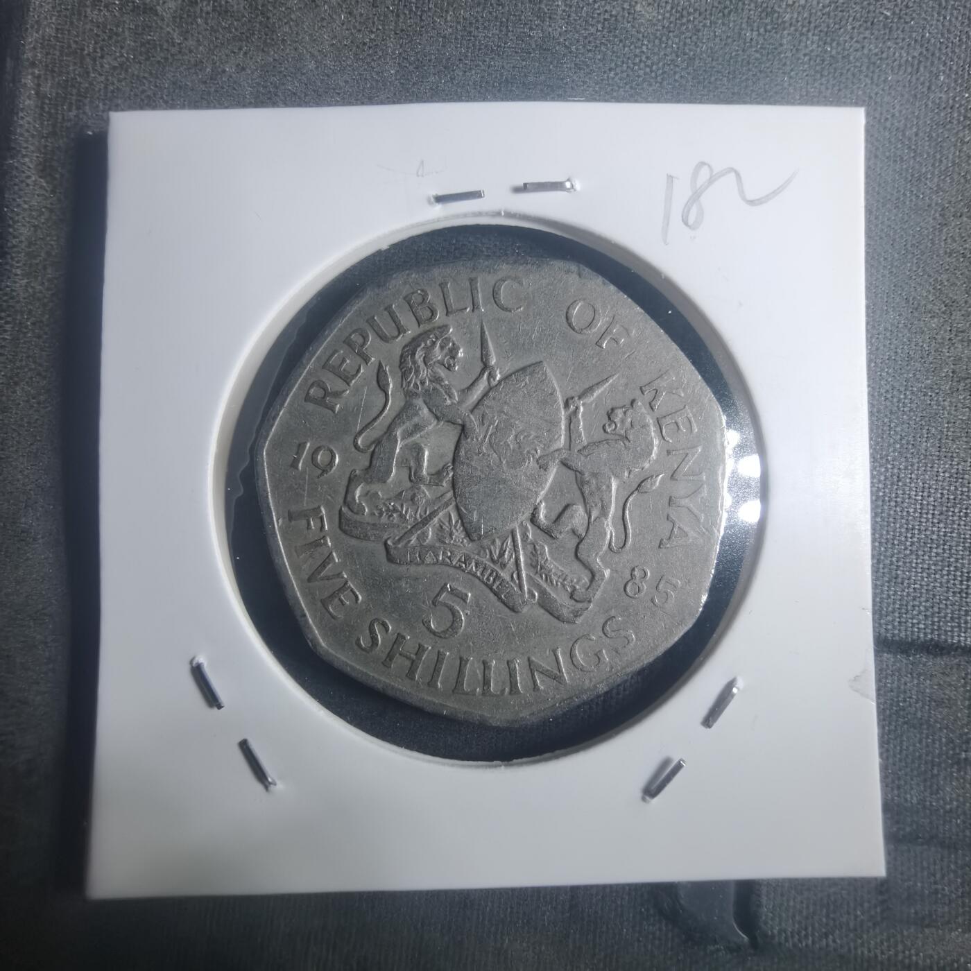 沼泽如烟--第900场