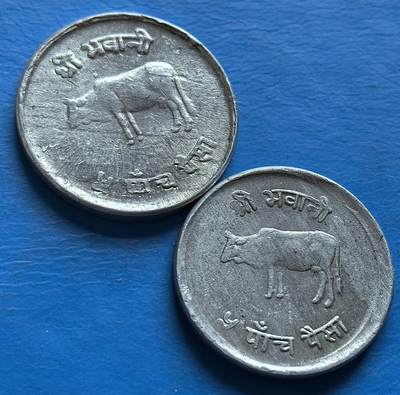 外国优质老铜币银币，周六九点倒数截拍，满百包邮，可寄存半年，喜欢朋友微信扫描二维码可直接参拍 - 尼泊尔奶牛5派沙2枚