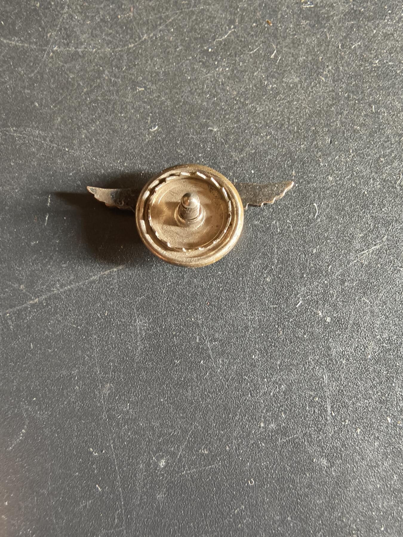 老王徽章第163期 13-15日三场连拍 16日统一发货  13、14日结束后可寄存  美国国家航空协会证章