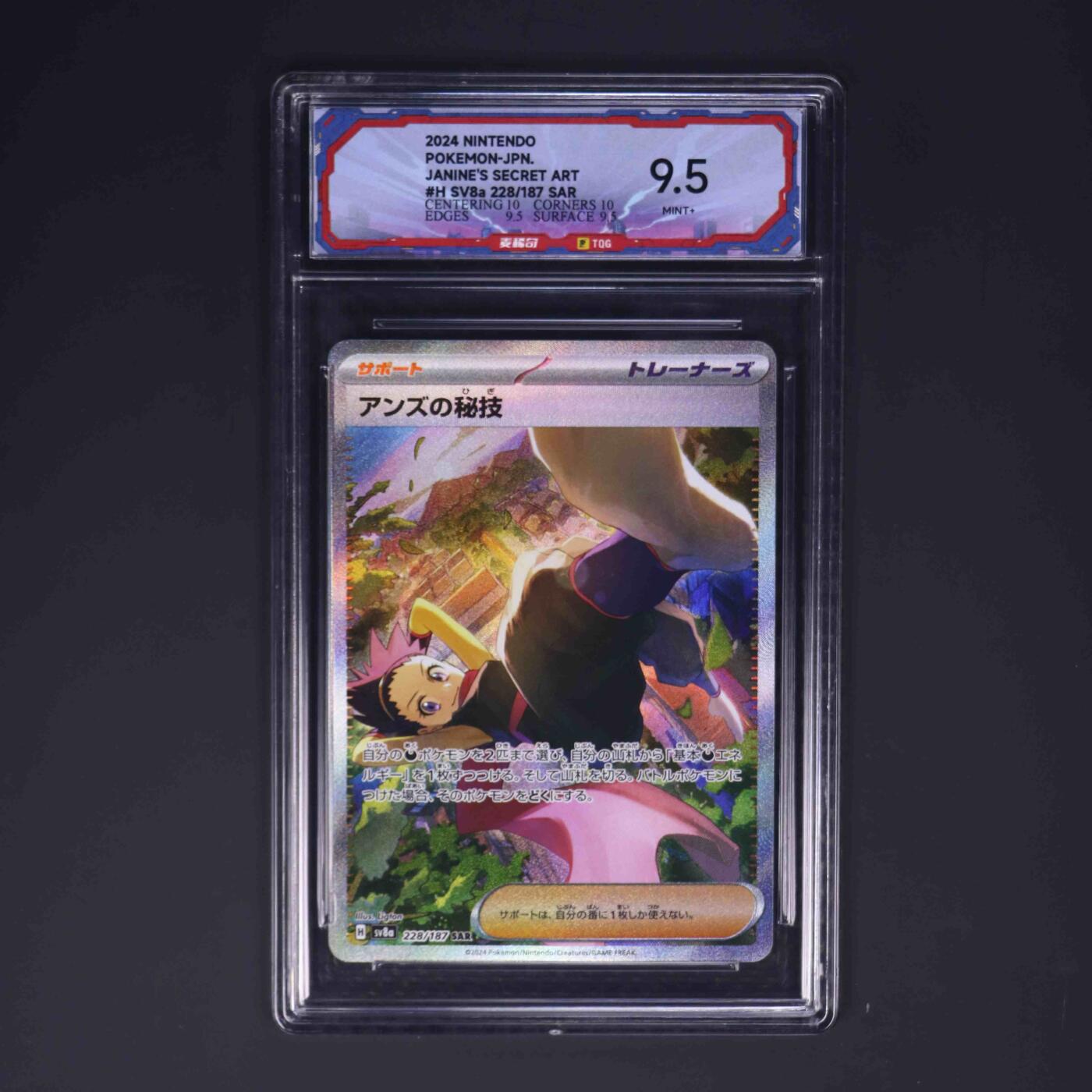 宝可梦专场！！