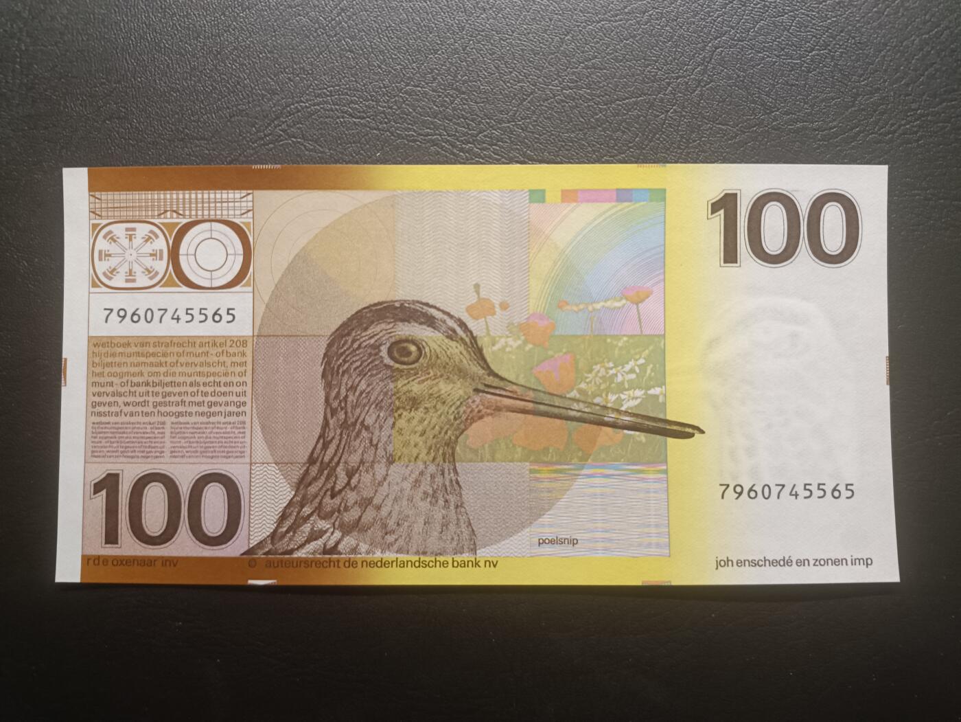 2025十一月第四期，总202期