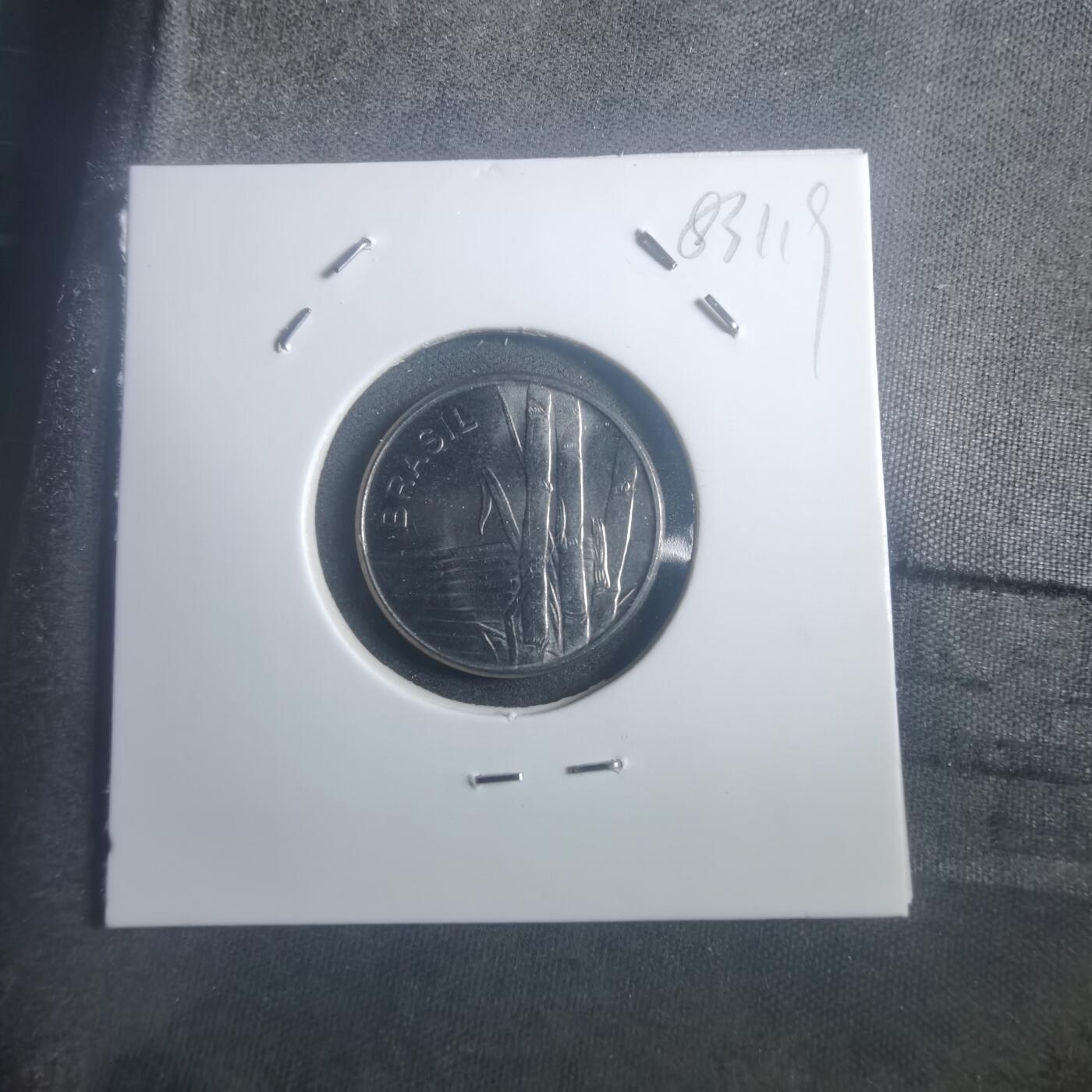 沼泽如烟--第903场