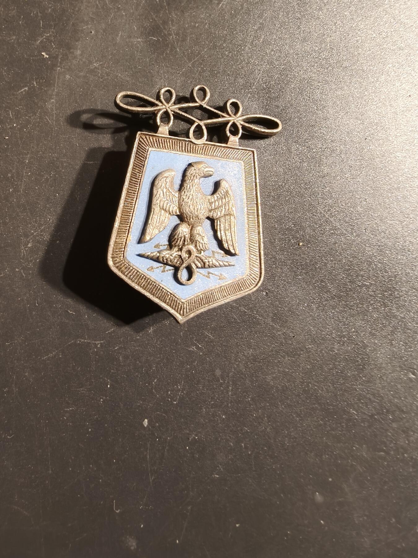 老王徽章第163期 13-15日三场连拍 16日统一发货  13、14日结束后可寄存  法国第8步兵团证章