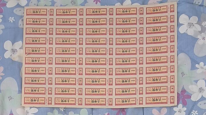 北京市布票1984年伍市寸(5市寸) 50枚整版 未打孔 品如图