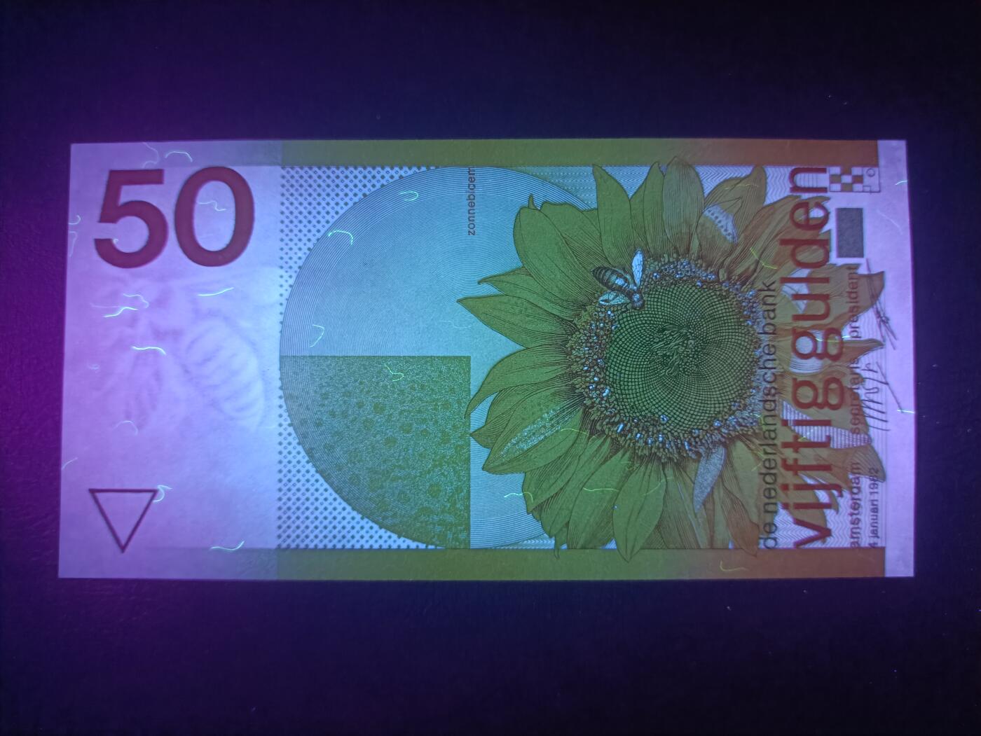 2025十一月第四期，总202期 荷兰1982版50盾UNC，荷兰盾三剑客之一的向日葵