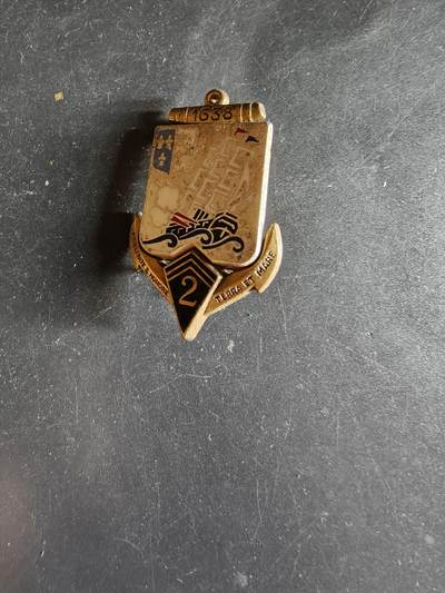 老王徽章第163期 13-15日三场连拍 16日统一发货  13、14日结束后可寄存 -  法国海军陆战队第2步兵团证章