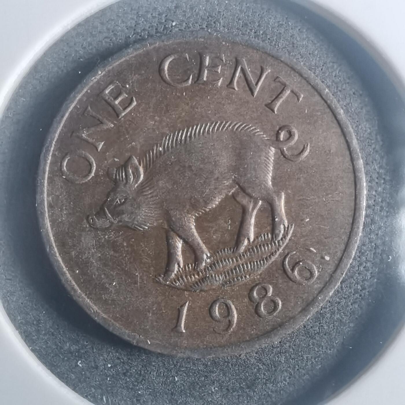 沼泽如烟--第900场