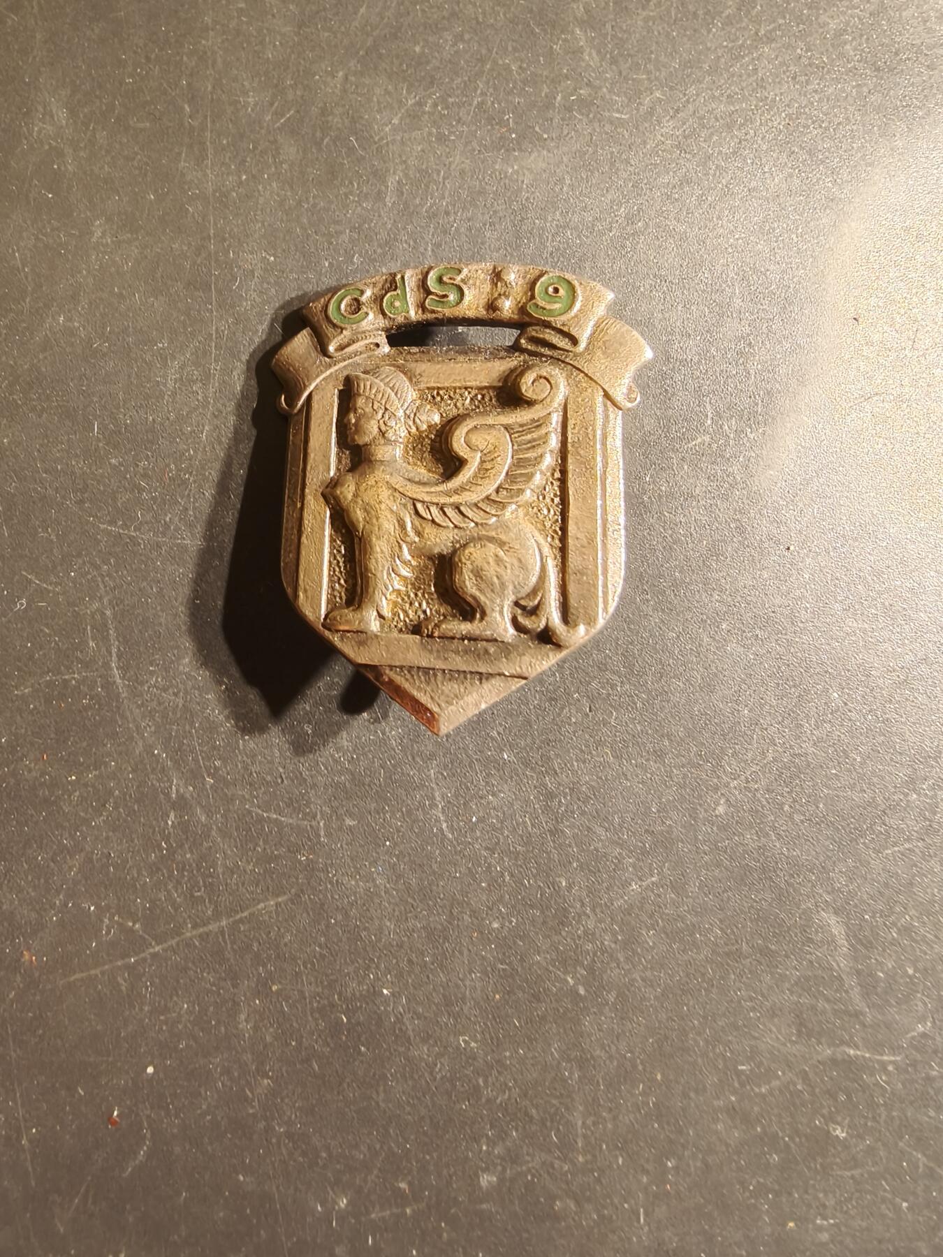 老王徽章第163期 13-15日三场连拍 16日统一发货  13、14日结束后可寄存 法国陆军第9选拔中心证章 