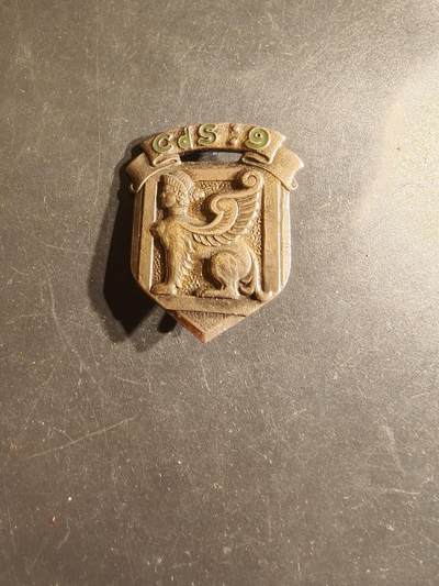 老王徽章第163期 13-15日三场连拍 16日统一发货  13、14日结束后可寄存 - 法国陆军第9选拔中心证章 