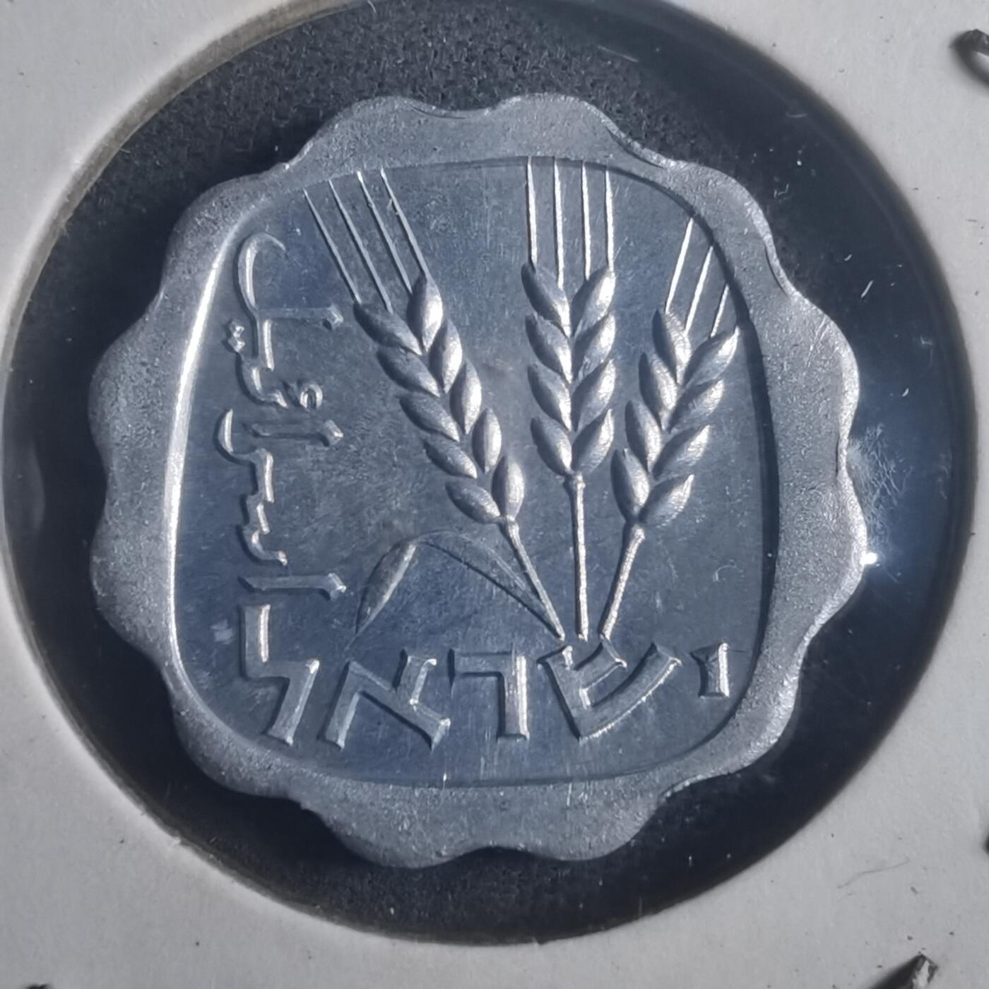 沼泽如烟--第903场