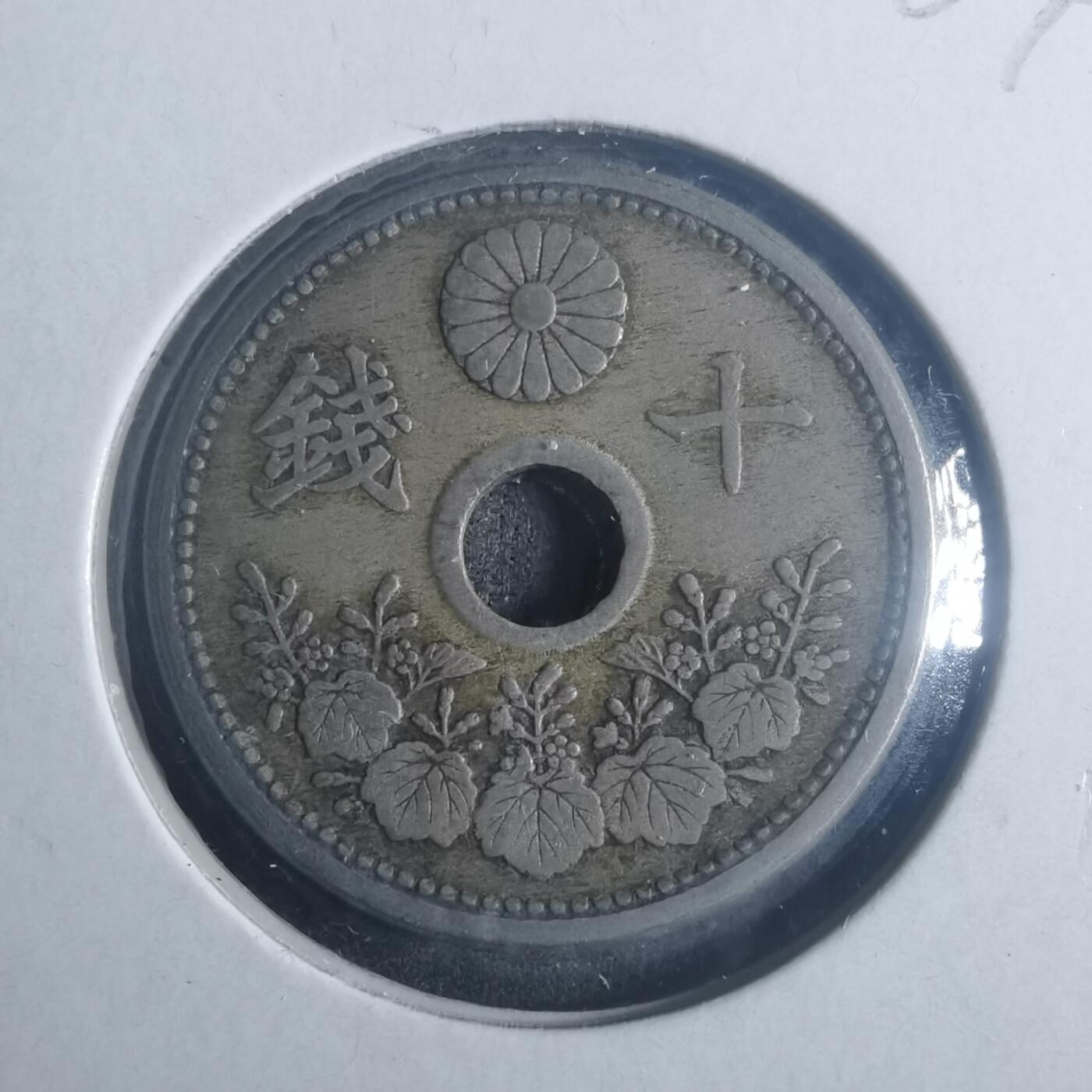 沼泽如烟--第900场