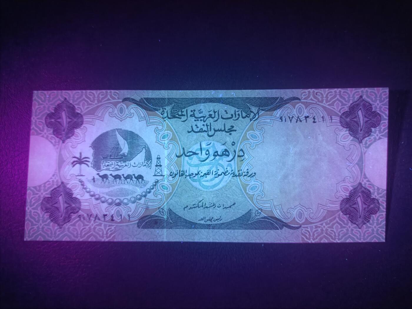 2025十一月第四期，总202期