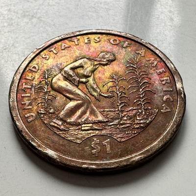 🌹外币初藏🌹🐯2025年第127场  每周二四六晚8️⃣点 接代拍 - 美国2009年1美元 印第安原住民b