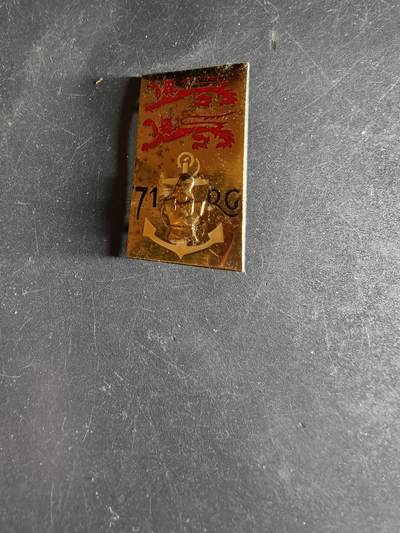 老王徽章第163期 13-15日三场连拍 16日统一发货  13、14日结束后可寄存 -  法国第71工兵团证章