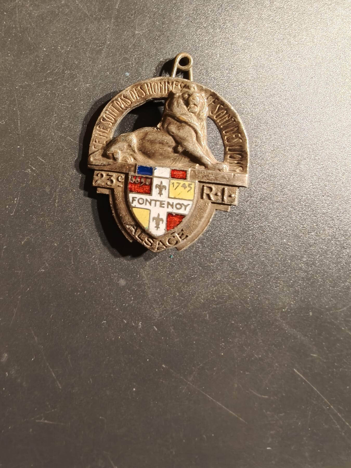 老王徽章第163期 13-15日三场连拍 16日统一发货  13、14日结束后可寄存 法国第23步兵团证章 