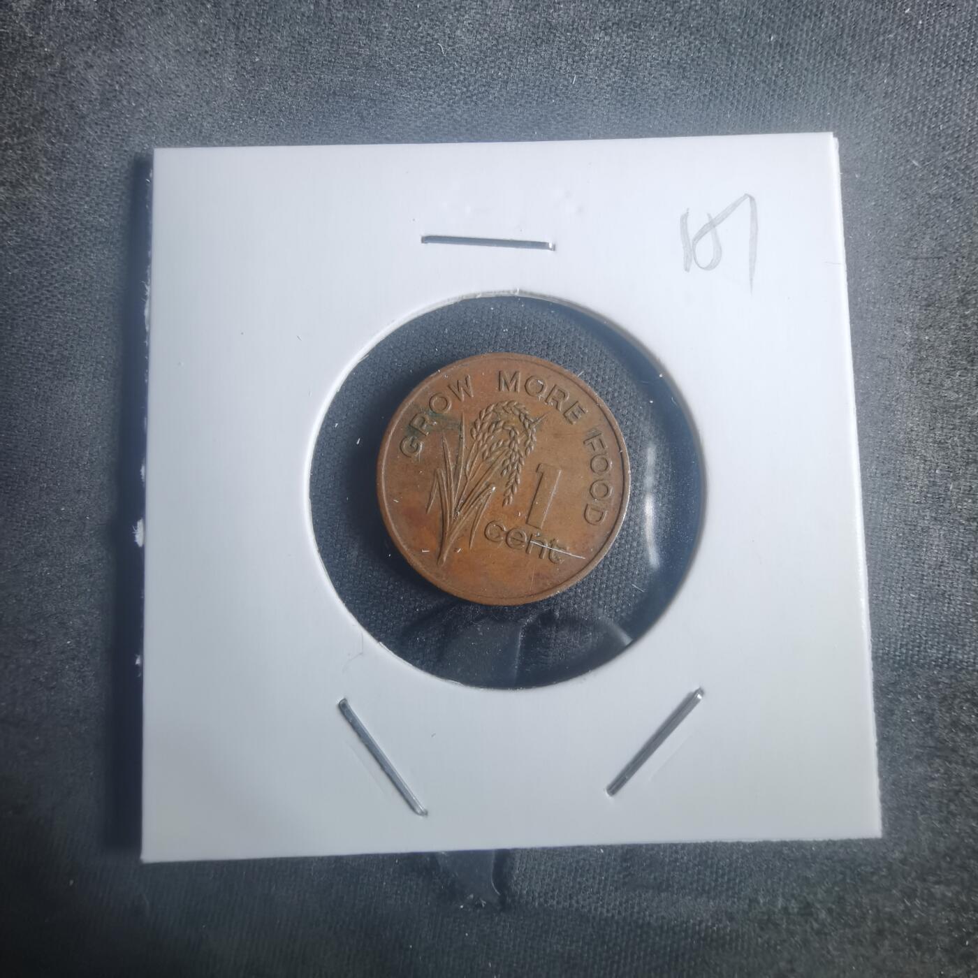 沼泽如烟--第900场