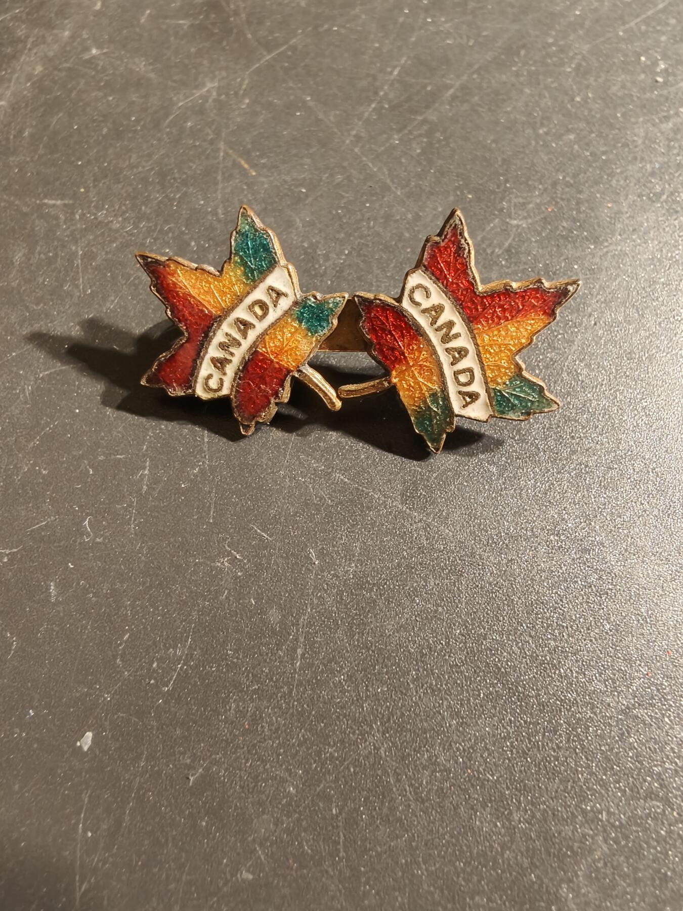 老王徽章第163期 13-15日三场连拍 16日统一发货  13、14日结束后可寄存 加拿大陆军徽章 