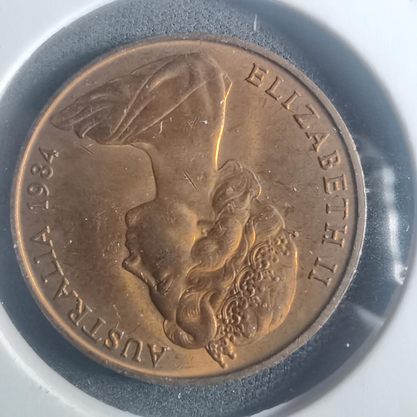 沼泽如烟--第900场