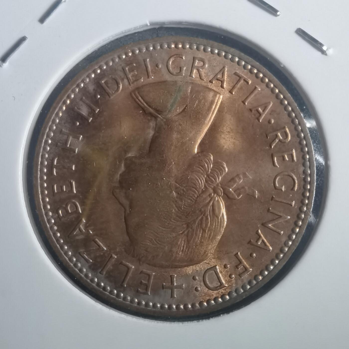 沼泽如烟--第903场