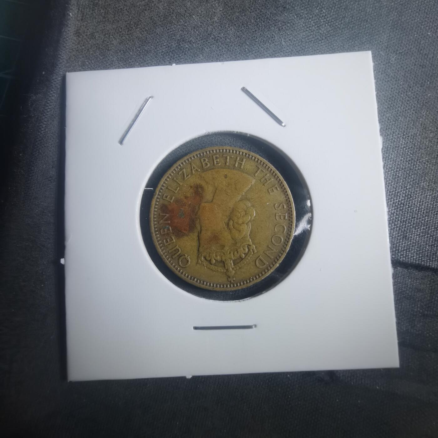 沼泽如烟--第903场