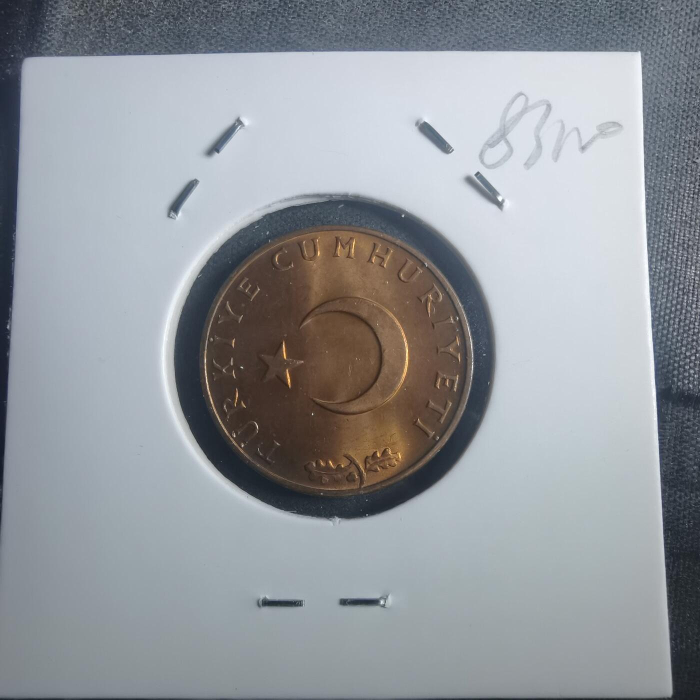 沼泽如烟--第903场