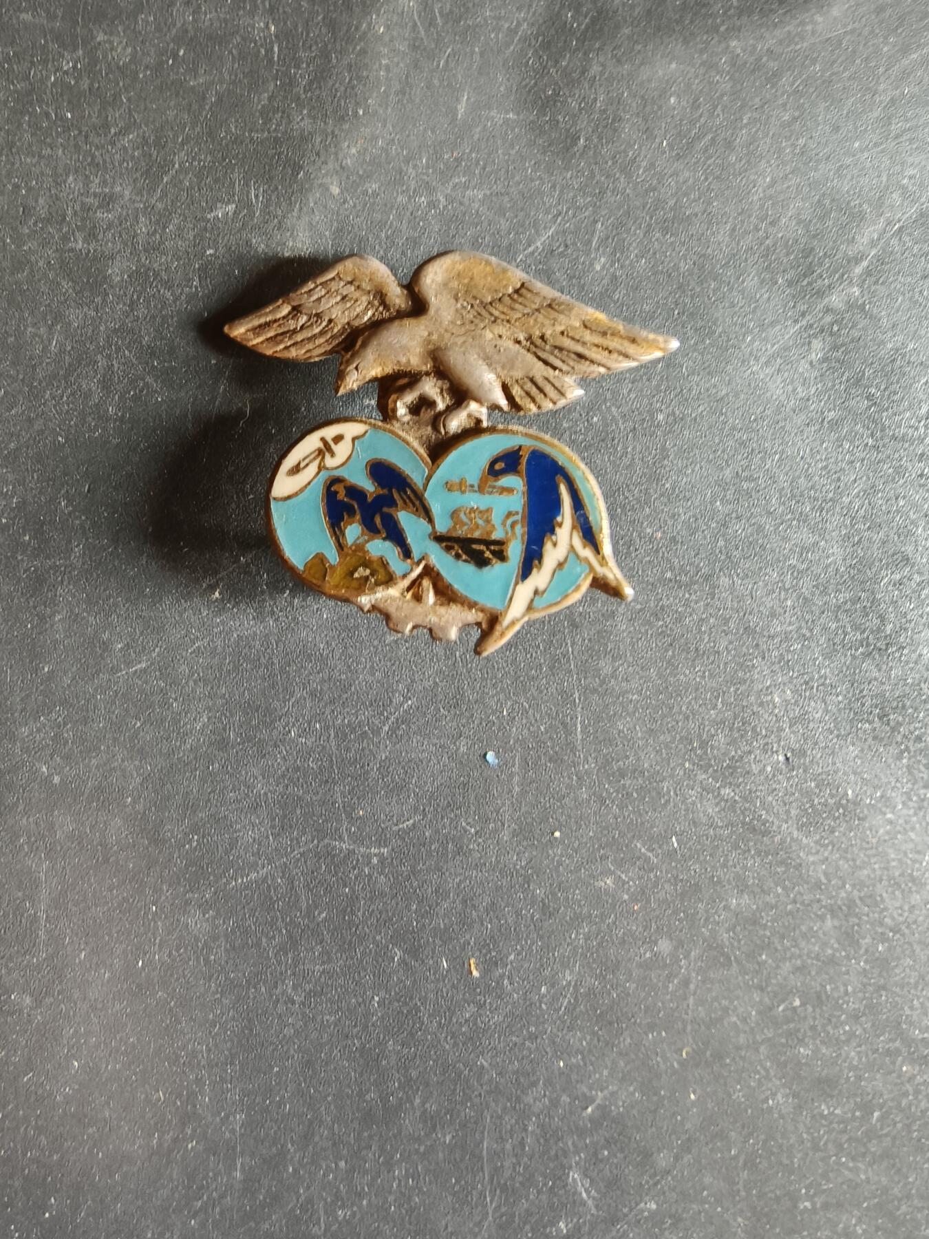 老王徽章第163期 13-15日三场连拍 16日统一发货  13、14日结束后可寄存 法国空军701航空学校证章 